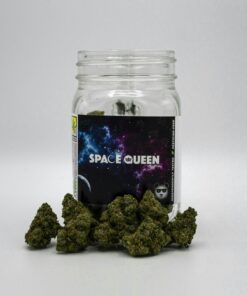 Space Queen Strain