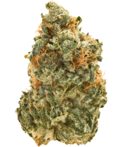 green crack strain