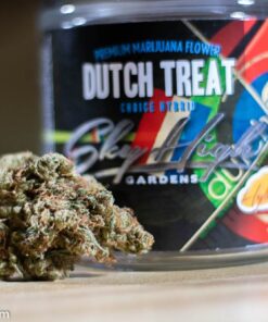 Dutch Treat Strain