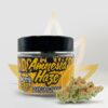 Amnesia Haze Strain