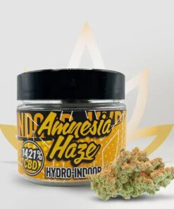 Amnesia Haze Strain