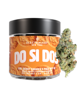 Do si dos strain