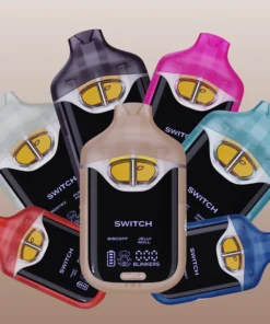 Boutiq Switch v4