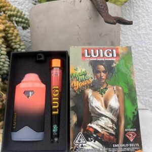 Luigi Disposable